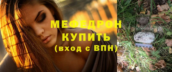индика Володарск